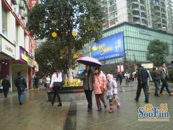 重庆商业街爆料视频最新,网红打卡地大揭秘，潮流美食一网打尽