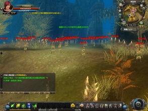 王者大陆爆料最新消息,神秘爆料揭示新英雄与重大事件前瞻