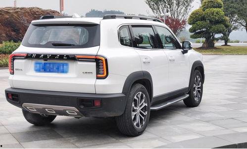 哈弗大狗最新爆料油耗,高效动力与经济油耗的完美结合